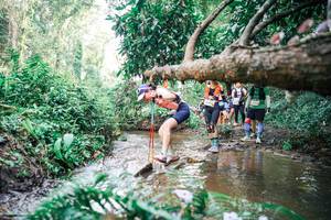 BIB: 
                            <button type="button" onclick="openModal(25515628)" class="btn btn-primary btn-sm float-right btn-popup" data-toggle="modal" data-target=".modal-high-quality">
                        <i class="fas fa-shopping-cart"></i> Add to Cart
                    </button>
                                            <button type="button" onclick="isThisMe(25515628, true)" class="btn btn-success btn-sm float-right btn-popup btn-isme hidden" data-toggle="tooltip" data-placement="bottom" title="นี่คือรูปของคุณใช่ไหม คลิกที่นี่เพื่อเอาเข้าอัลบั้ม">
                        <i class="fas fa-plus"></i> Add to album
                    </button>
                    <button type="button" onclick="isThisMe(25515628, false)" class="btn btn-warning btn-sm float-right btn-popup btn-isnotme hidden">
                        <i class="fas fa-ban"></i> Remove from album
                    </button>